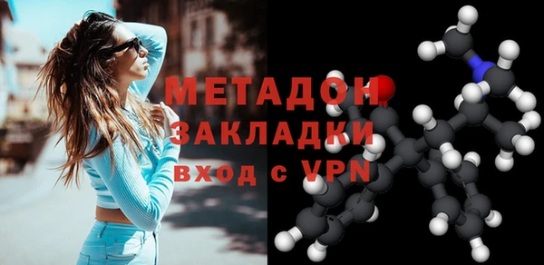 ПСИЛОЦИБИНОВЫЕ ГРИБЫ Дмитриев