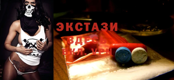 ПСИЛОЦИБИНОВЫЕ ГРИБЫ Дмитриев