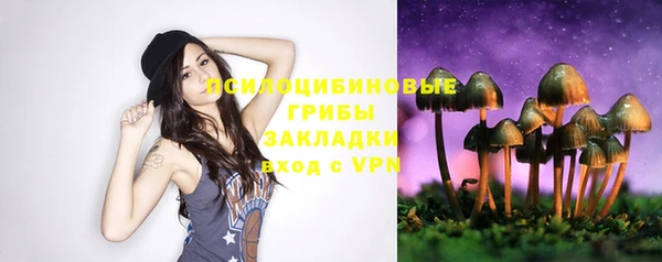 трава Дмитров