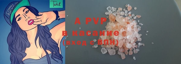 ПСИЛОЦИБИНОВЫЕ ГРИБЫ Дмитриев