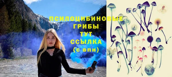 трава Дмитров