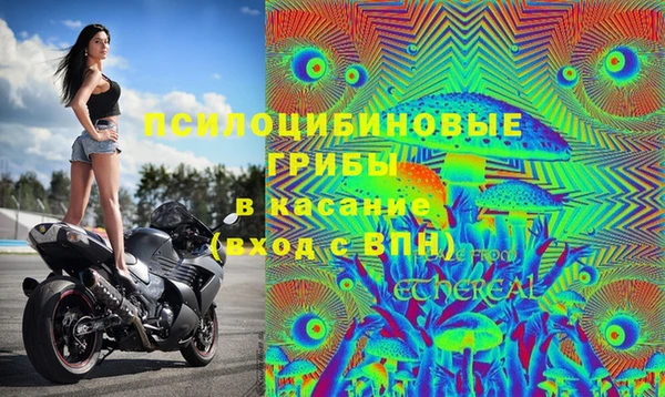 не бодяженный Елабуга