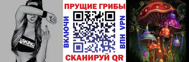 Купить где  Правдинск  Псилоцибиновые грибы Psilocybine cubensis 