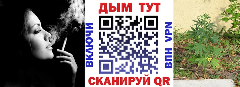 Канабис White Widow  Купить  Правдинск 